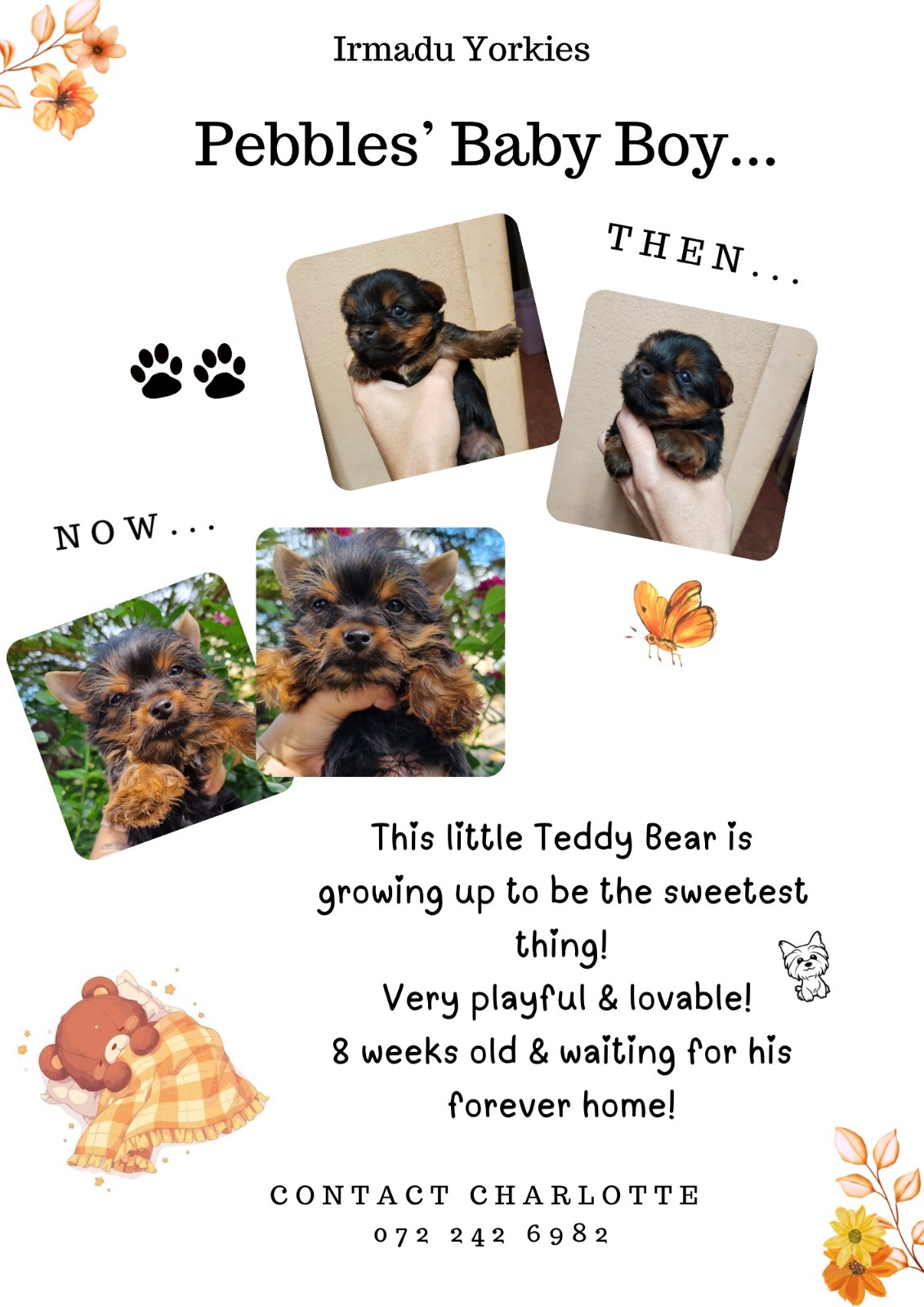 WhatsApp Image 2025-12-30 at 3.46.32 PM (1)