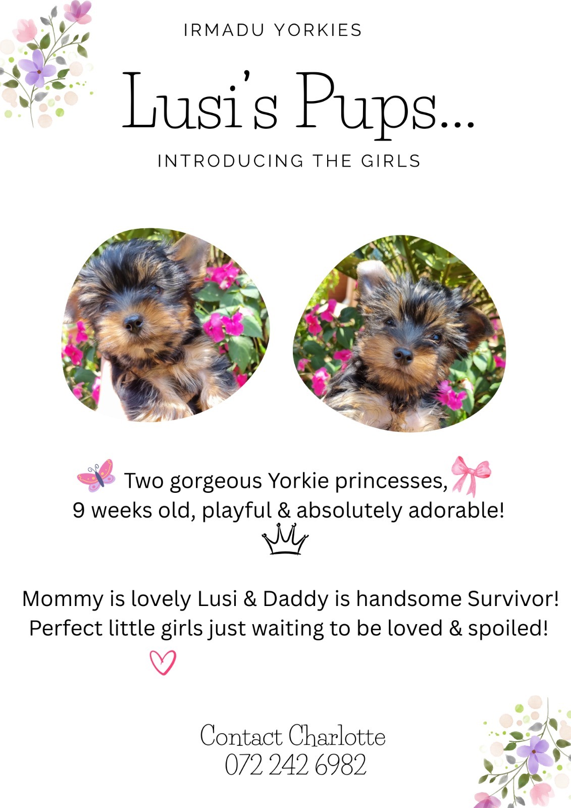 WhatsApp Image 2025-12-30 at 3.46.32 PM (2)