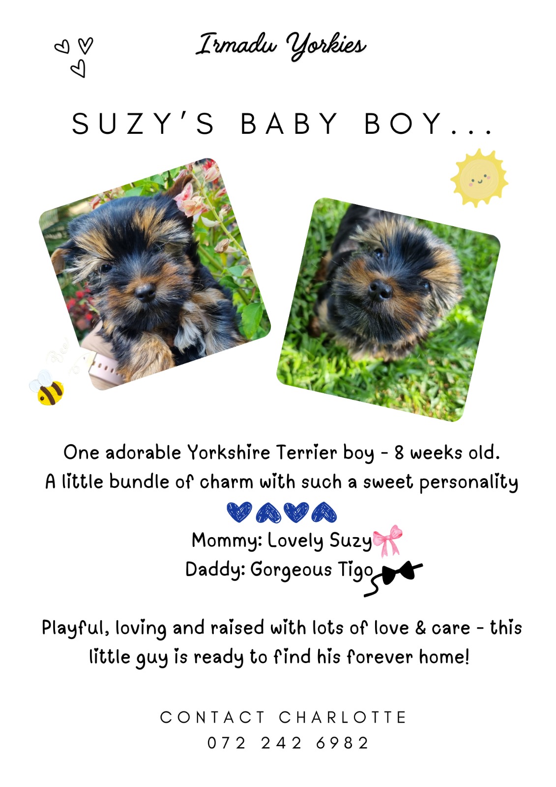 WhatsApp Image 2025-12-30 at 3.46.32 PM (4)