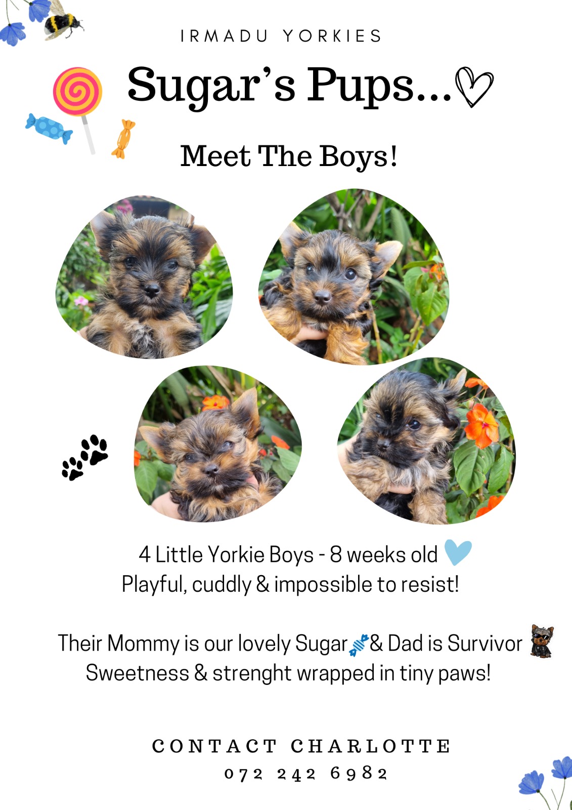 WhatsApp Image 2025-12-30 at 3.46.32 PM